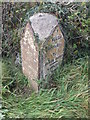 Milestone - Carmarthen 24