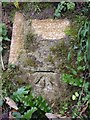 ST4815 : Benchmark on roadside stone, near Westbury Farm by Becky Williamson