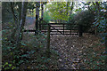 SU8065 : The gate in the woods by Alan Hunt