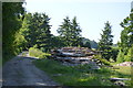 Log pile near Tapner