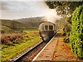 SD7920 : Steam Train Leaving Irwell Vale by David Dixon