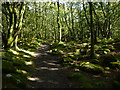 Path along Afon Ysgethin