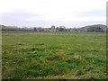 Grazing towards Micklow Hill