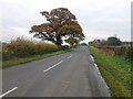 B6275 towards Piercebridge 