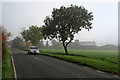 Gransden Lodge: farm buildings in the mist