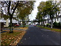 Fallen leaves, Orangefield Park, Omagh