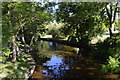 Channel between Baths Island and Windsor