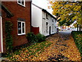 Carpet of autumn leaves, Dodington, Whitchurch, Shropshire