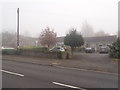 Bungalows in the mist