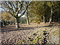 Oakworth Cemetery - Wide Lane