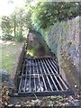 Stream at Milford Lane Tamerton Foliot