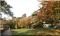 Autumn afternoon, Roath Park, Cardiff