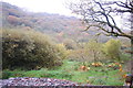 View over Gallt Pen-rhiw