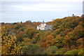 View of Coedmor and woods