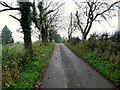 Road at Glengesh