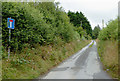 Narrow lane near Nebo in Ceredigion