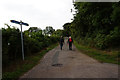 Coastal path near Luccombe Village