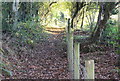 Footpath up to Oakdale