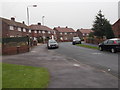 Thorntree Avenue - viewed from Hawthorn Avenue