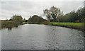 Canalside bench near Brayton