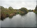 The Selby Canal south of Brayton Road bridge