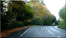 TQ8037 : Bend on Sissinghurst Road (A262) just after lane to Branden by Clint Mann