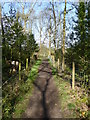 Public footpath between Newgate and Lindow Lane