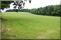 Field next to Chapplecroft  Copse