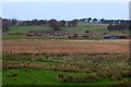 Rough pasture near Avonside