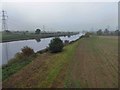 SK8171 : The River Trent from the Trent viaduct at Fledborough by Steve  Fareham