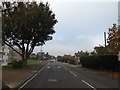TM1646 : Henley Road, Castle Hill, Ipswich by Geographer