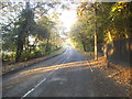 High Road south of Hooley