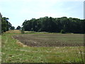 Farmland towards Birchall