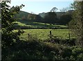 Meadow by the Simene