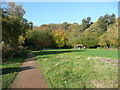 Crags Meadow, Creswell Crags