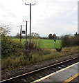 Power lines near Caersws railway station