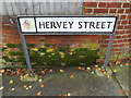 TM1645 : Hervey Street sign by Geographer