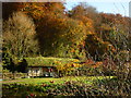 Fishery building, Ruskin Mill