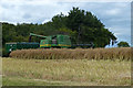 Harvesting the oil seed rape