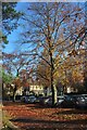 Victoria Avenue, Harrogate