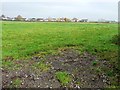 Farmland east of Tarraby [3]