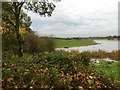 Sandbach Flashes: Salt Pan