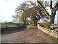 Track to Wyse Hill Farm