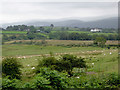 Farmland east of Tyncelyn, Ceredigion