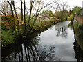 A branch of the River Cherwell