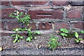 Benchmark on Dalston Road crematorium wall