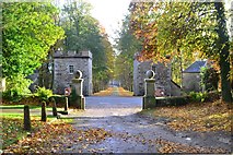 NC8401 : Main Gate and Drive to Dunrobin Castle, Sutherland by Andrew Tryon