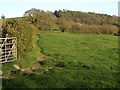 Countryside at Marshwood