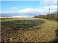 Farmland and hedgerow near East Lodge