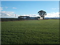 Farm buildings, Ralston House